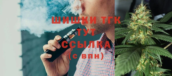 тгк Арсеньев