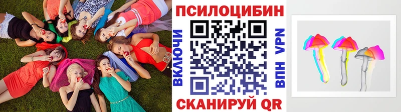 мега зеркало  Печоры  Псилоцибиновые грибы мицелий  что такое  