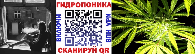 МАРИХУАНА семена  как найти наркотики  Печоры 